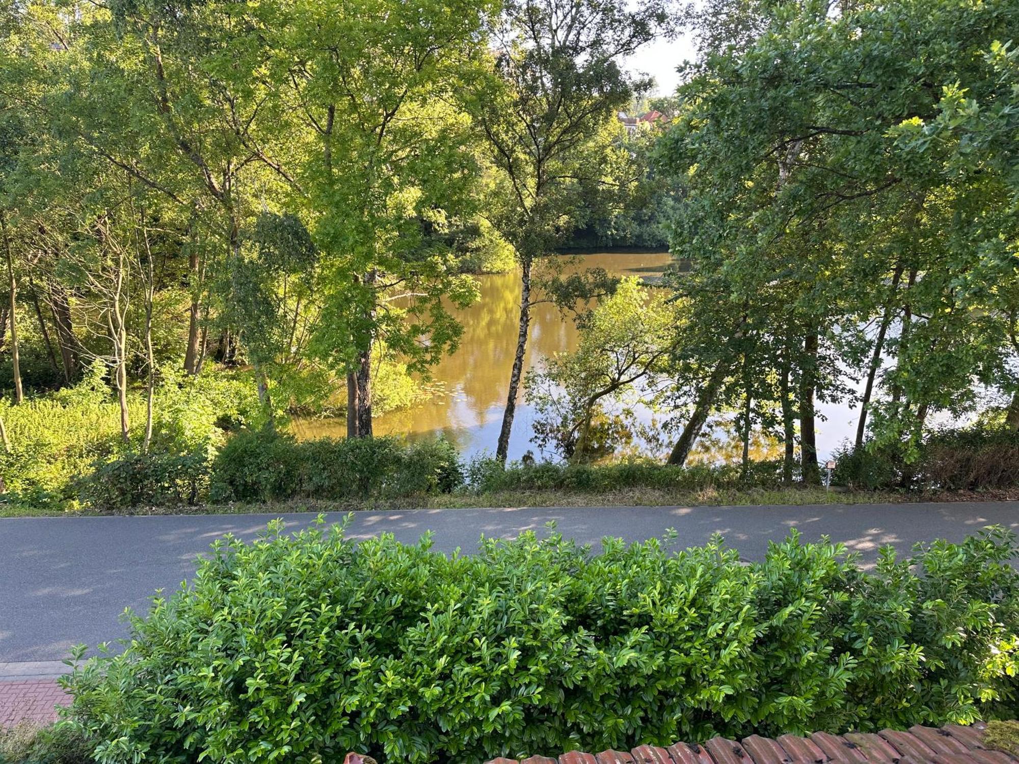 Villa Am See Bad Sachsa Extérieur photo